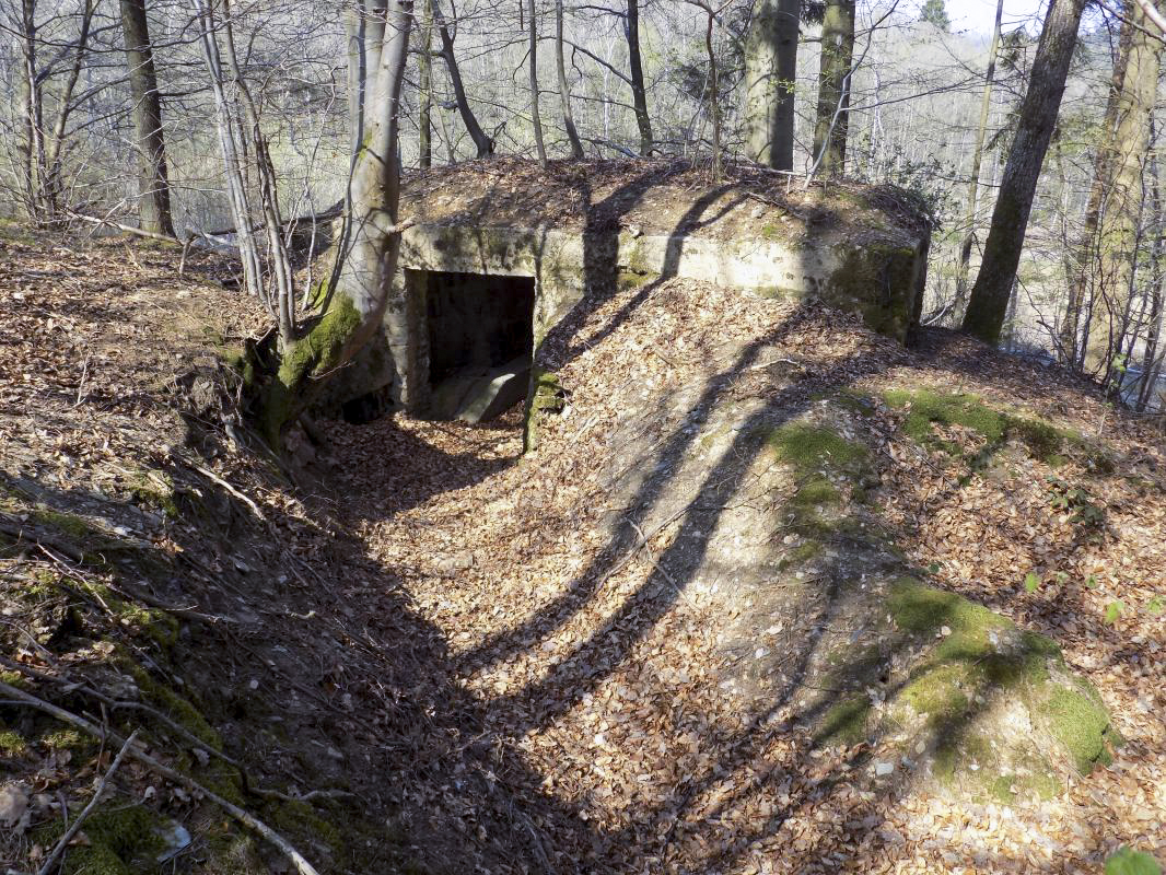 Ligne Maginot - BA105 - ROUTE DE REVIN 2 - (Blockhaus pour canon) - L'arrière - R Tucker