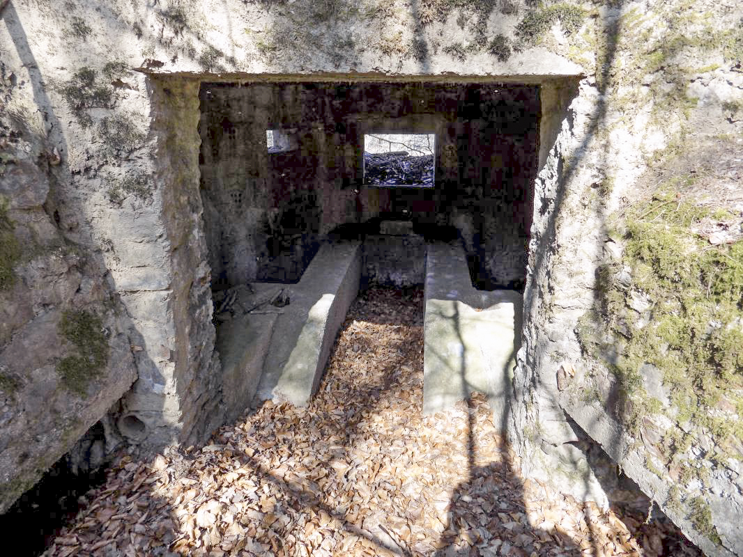Ligne Maginot - BA105 - ROUTE DE REVIN 2 - (Blockhaus pour canon) - L'entrée - R Tucker