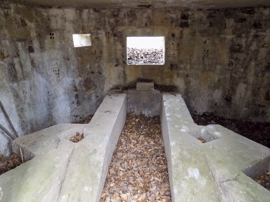 Ligne Maginot - BA105 - ROUTE DE REVIN 2 - (Blockhaus pour canon) - Créneaux FM et AC - R Tucker