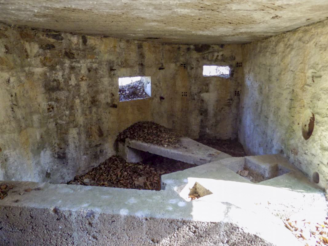 Ligne Maginot - BA105 - ROUTE DE REVIN 2 - (Blockhaus pour canon) - Créneaux Hotchkiss et FM - R Tucker