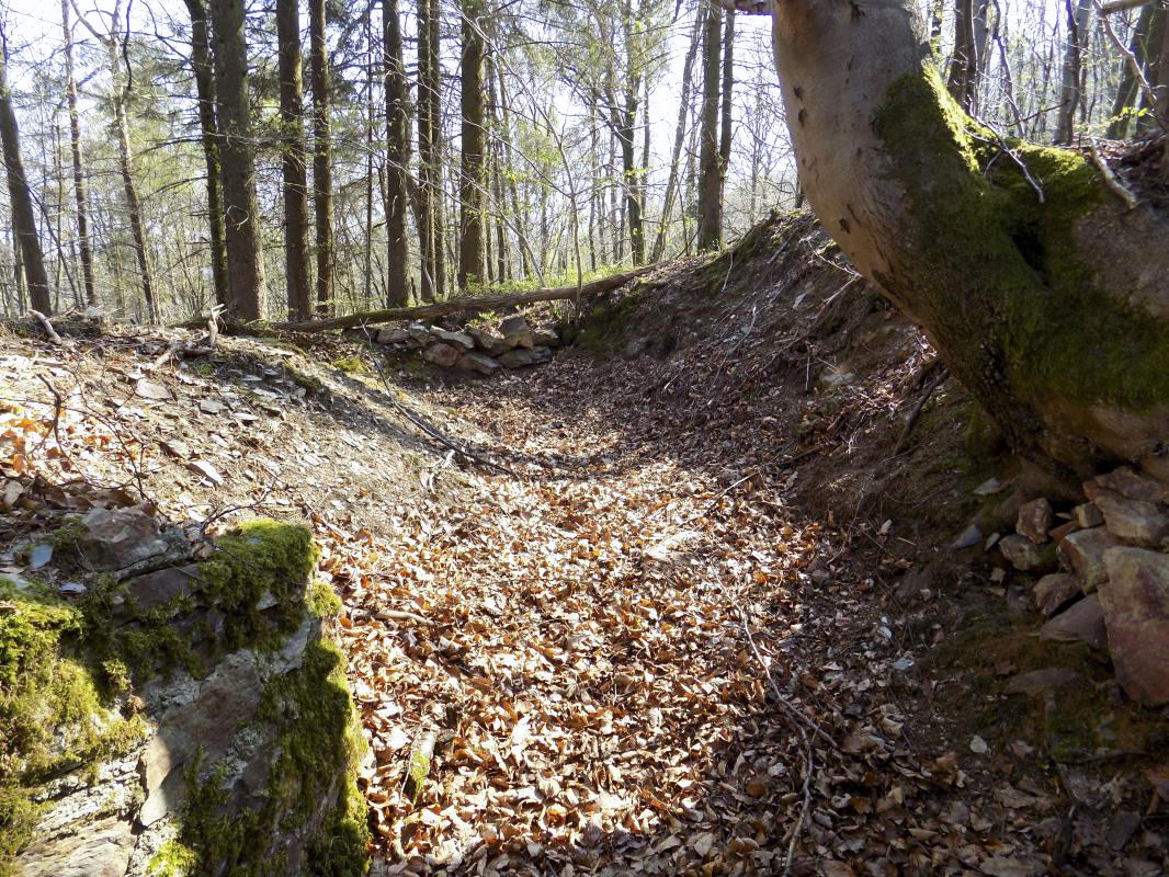 Ligne Maginot - BA105 - ROUTE DE REVIN 2 - (Blockhaus pour canon) - Vestiges des tranchées - R Tucker