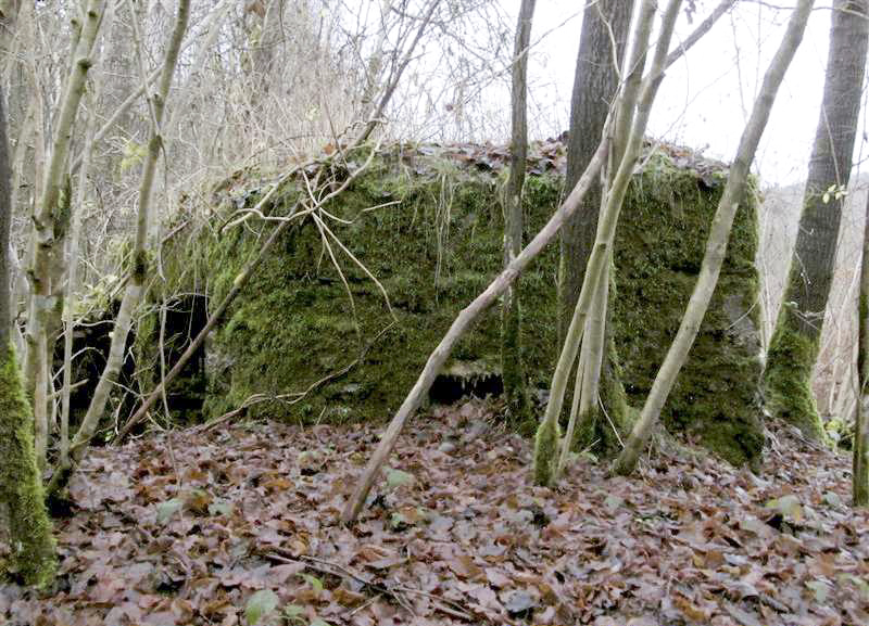 Ligne Maginot - BA107 - ROUTE DE REVIN 4 - (Blockhaus pour arme infanterie) -  - François MATHOT