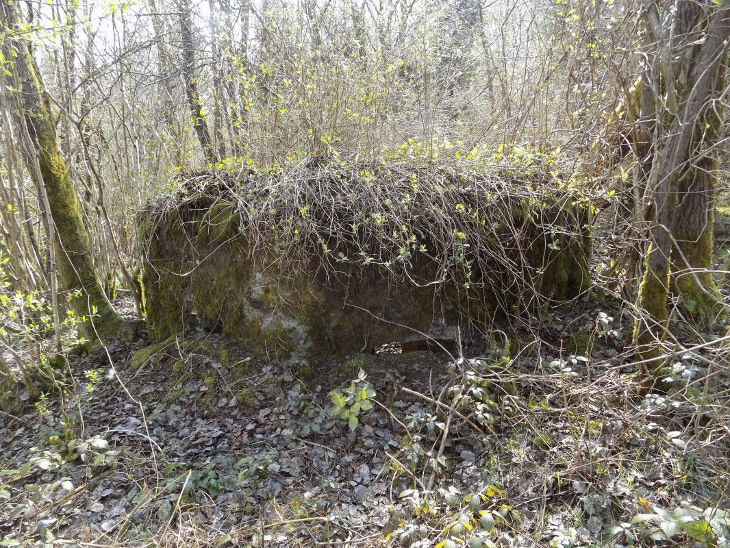 Ligne Maginot - BA107 - ROUTE DE REVIN 4 - (Blockhaus pour arme infanterie) - Faces frontale frontale gauche - R Tucker