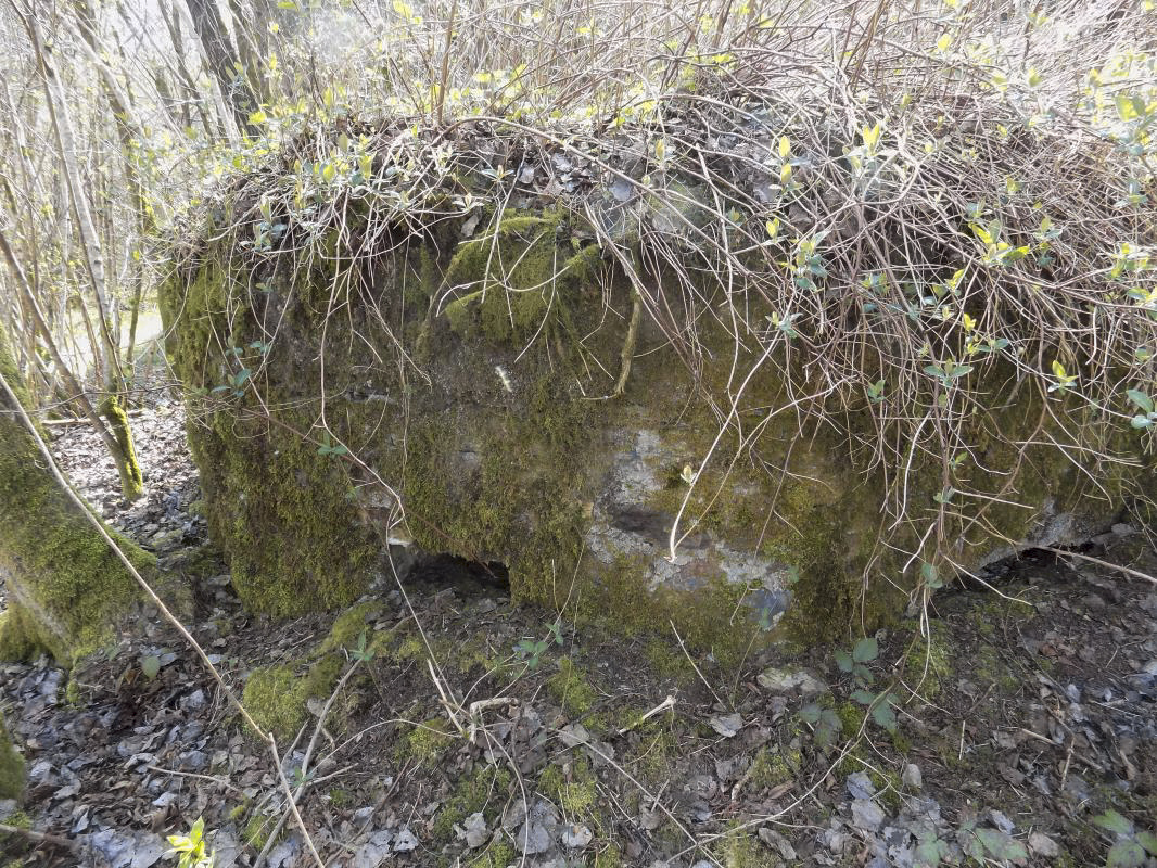 Ligne Maginot - BA107 - ROUTE DE REVIN 4 - (Blockhaus pour arme infanterie) - Faces frontale frontale gauche - R Tucker