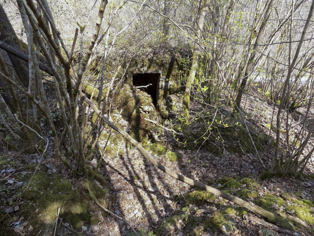 Ligne Maginot - BA107 - ROUTE DE REVIN 4 - (Blockhaus pour arme infanterie) - L'arrière - R Tucker