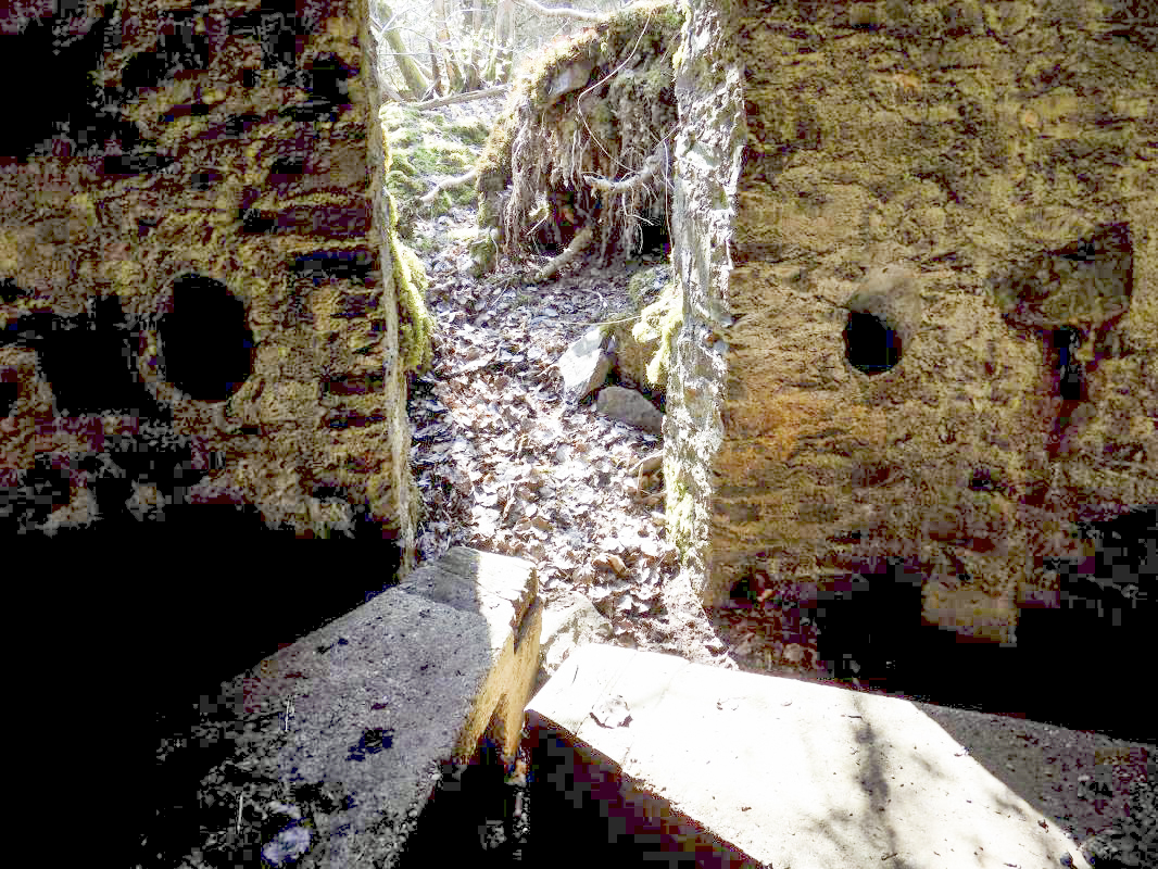 Ligne Maginot - BA107 - ROUTE DE REVIN 4 - (Blockhaus pour arme infanterie) - L'entrée - R Tucker