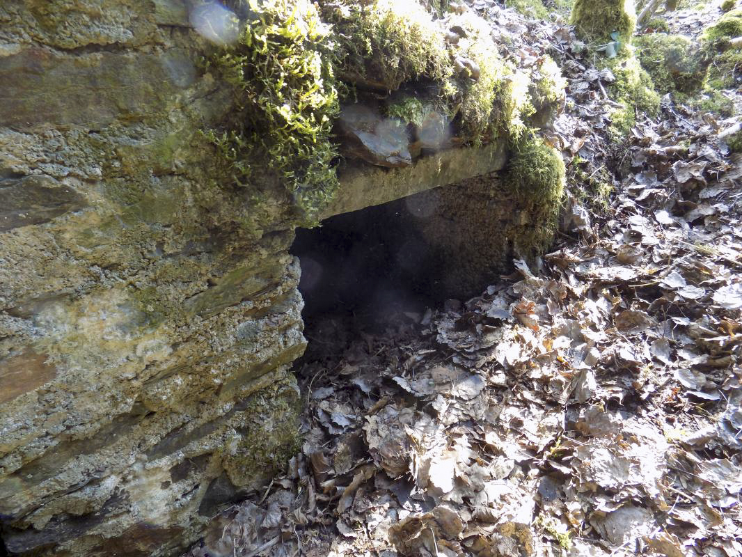Ligne Maginot - BA107 - ROUTE DE REVIN 4 - (Blockhaus pour arme infanterie) - Stockage de munitions externe droite - R Tucker