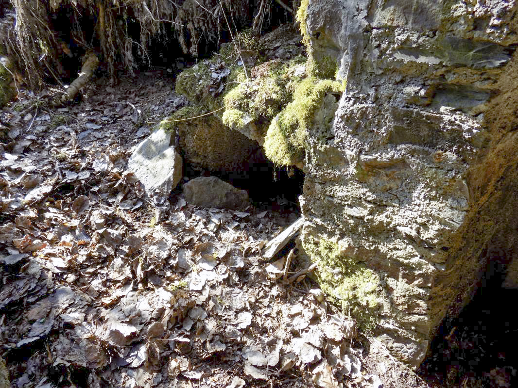 Ligne Maginot - BA107 - ROUTE DE REVIN 4 - (Blockhaus pour arme infanterie) - Stockage de munitions externe gauche - R Tucker