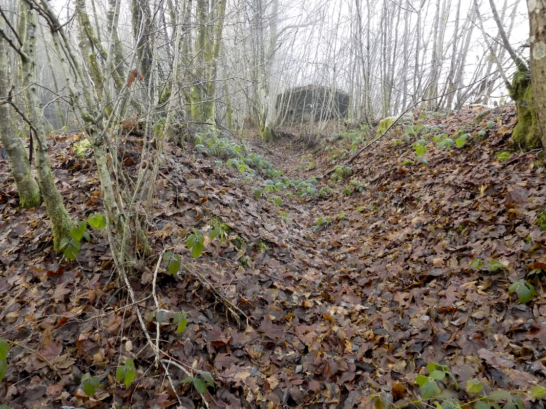 Ligne Maginot - BA108 - ROUTE DE REVIN 5 - (Blockhaus pour arme infanterie) - Tranché vers le bloc - R Tucker