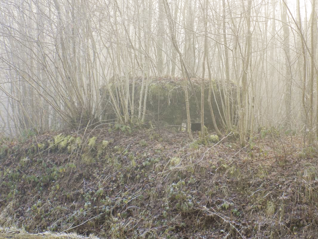 Ligne Maginot - BA108 - ROUTE DE REVIN 5 - (Blockhaus pour arme infanterie) - Pris de la route - R Tucker