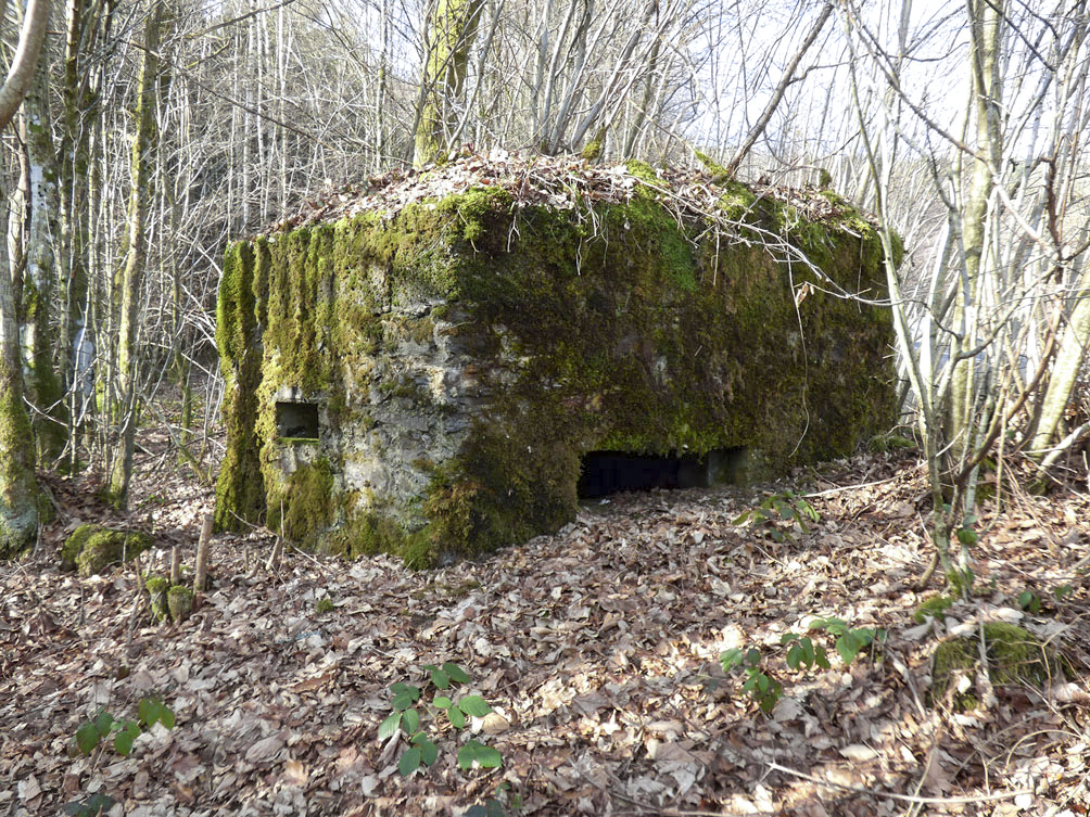 Ligne Maginot - BA108 - ROUTE DE REVIN 5 - (Blockhaus pour arme infanterie) -  - JMBrams