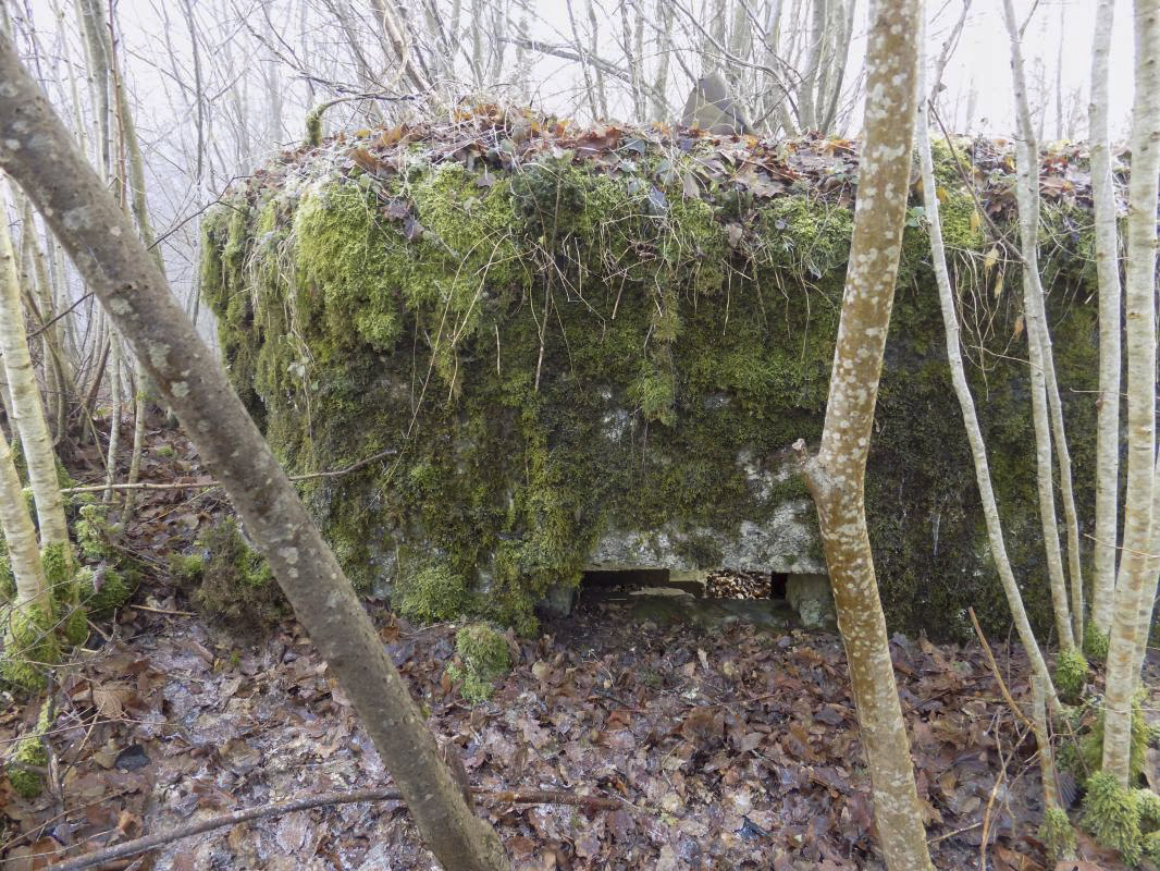 Ligne Maginot - BA108 - ROUTE DE REVIN 5 - (Blockhaus pour arme infanterie) - Face gauche, créneau Hotchkiss - R Tucker