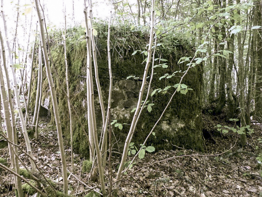 Ligne Maginot - BA108 - ROUTE DE REVIN 5 - (Blockhaus pour arme infanterie) -  - JMBrams