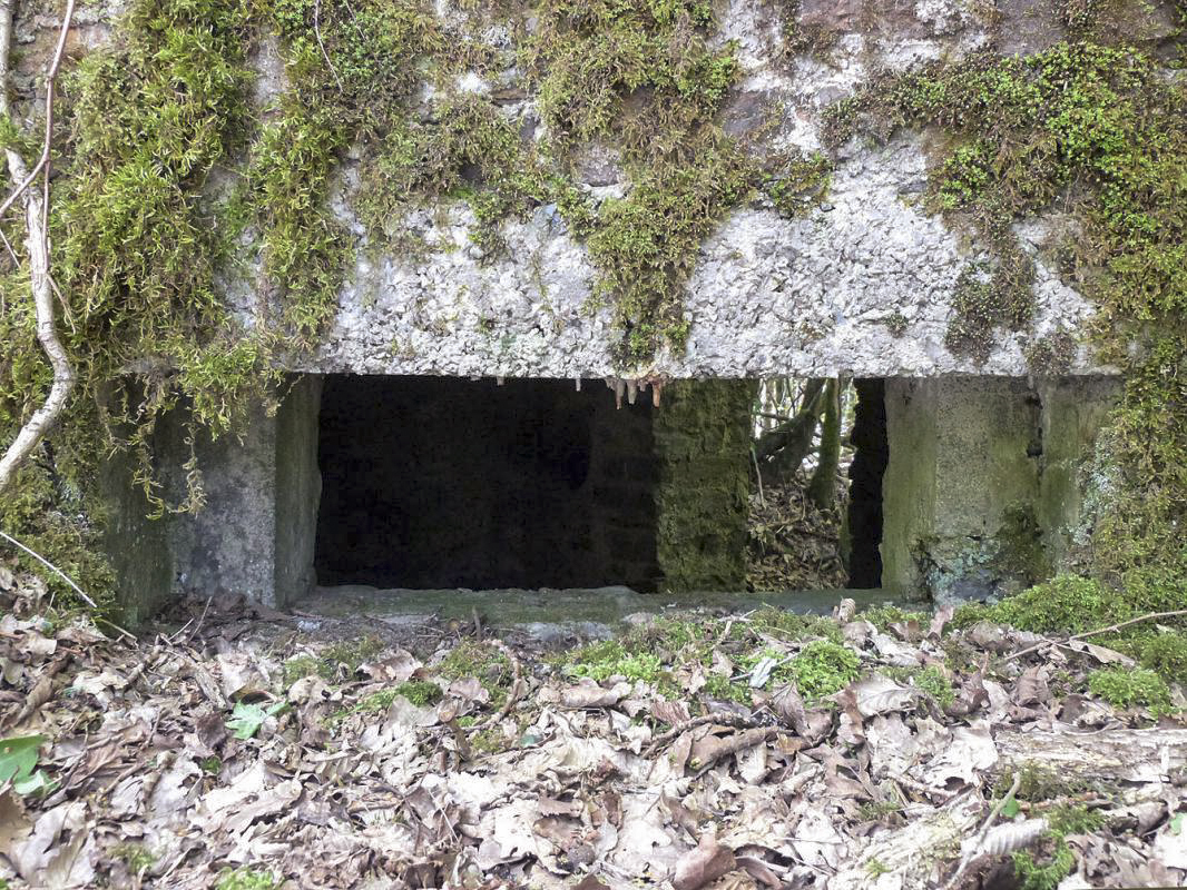 Ligne Maginot - BA108 - ROUTE DE REVIN 5 - (Blockhaus pour arme infanterie) -  - JMBrams