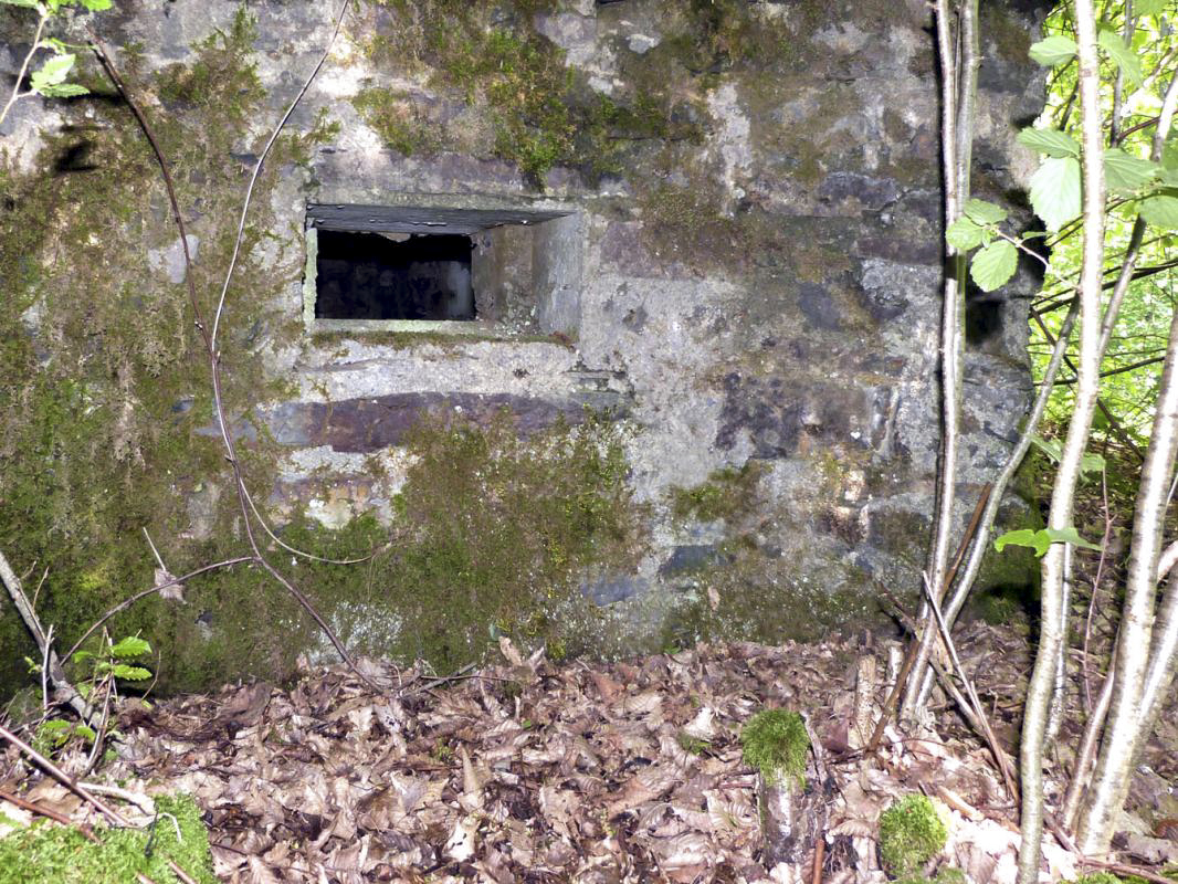 Ligne Maginot - BA108 - ROUTE DE REVIN 5 - (Blockhaus pour arme infanterie) -  - JMBrams