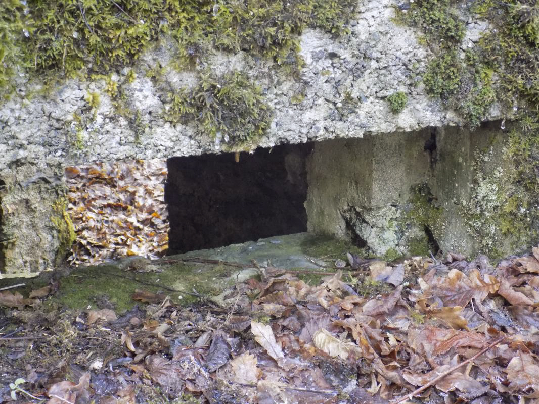 Ligne Maginot - BA108 - ROUTE DE REVIN 5 - (Blockhaus pour arme infanterie) - Face gauche, créneau Hotchkiss - R Tucker
