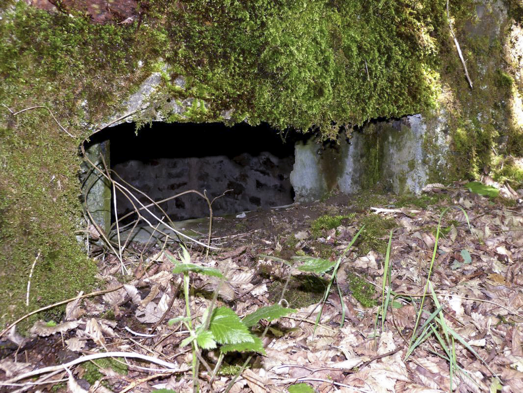 Ligne Maginot - BA108 - ROUTE DE REVIN 5 - (Blockhaus pour arme infanterie) -  - JMBrams