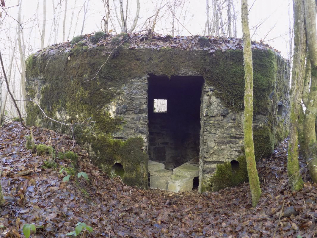 Ligne Maginot - BA108 - ROUTE DE REVIN 5 - (Blockhaus pour arme infanterie) - L'arrière - R Tucker