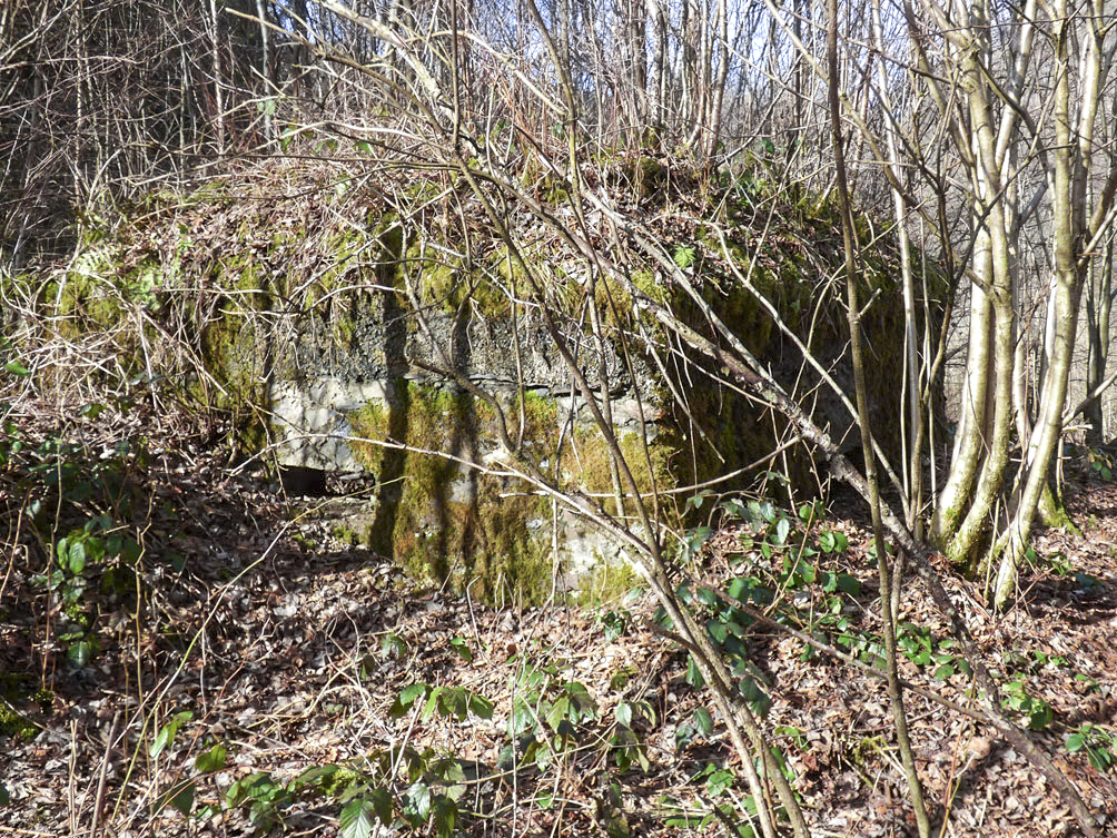 Ligne Maginot - BA109 - ROUTE DE REVIN 6 - (Blockhaus pour canon) -  - Jean-Marie Brams