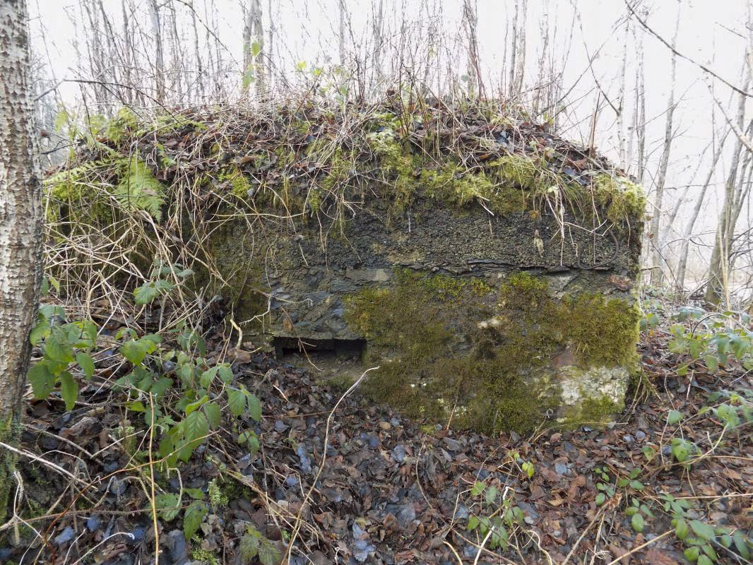 Ligne Maginot - BA109 - ROUTE DE REVIN 6 - (Blockhaus pour canon) - Face droite créneau FM - R Tucker