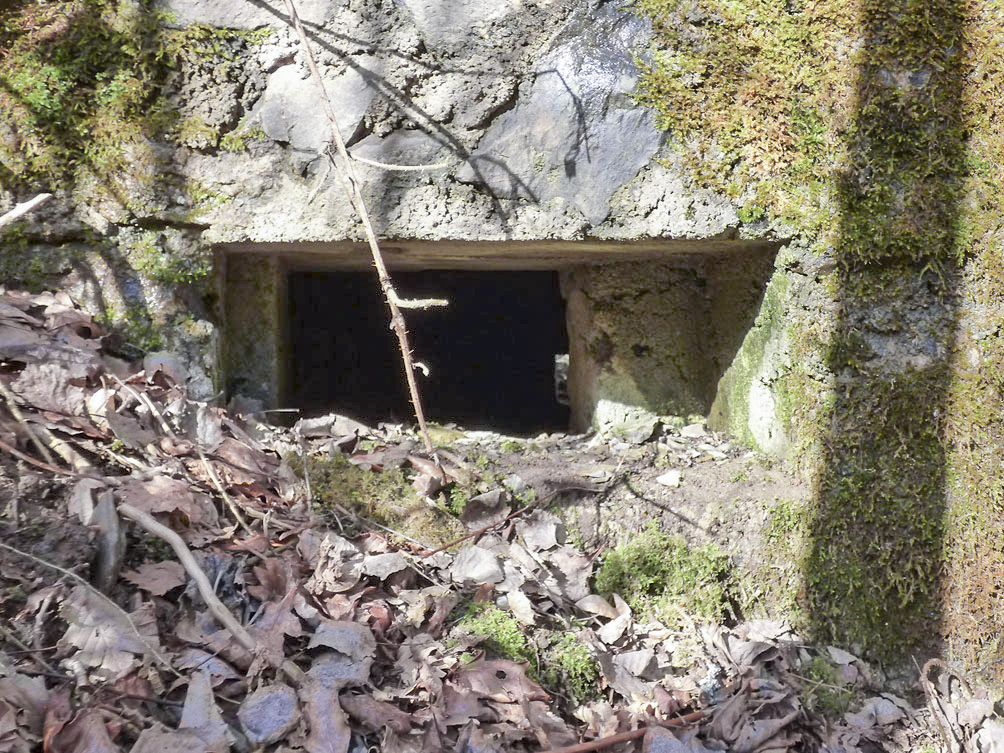 Ligne Maginot - BA109 - ROUTE DE REVIN 6 - (Blockhaus pour canon) -  - Jean-Marie Brams