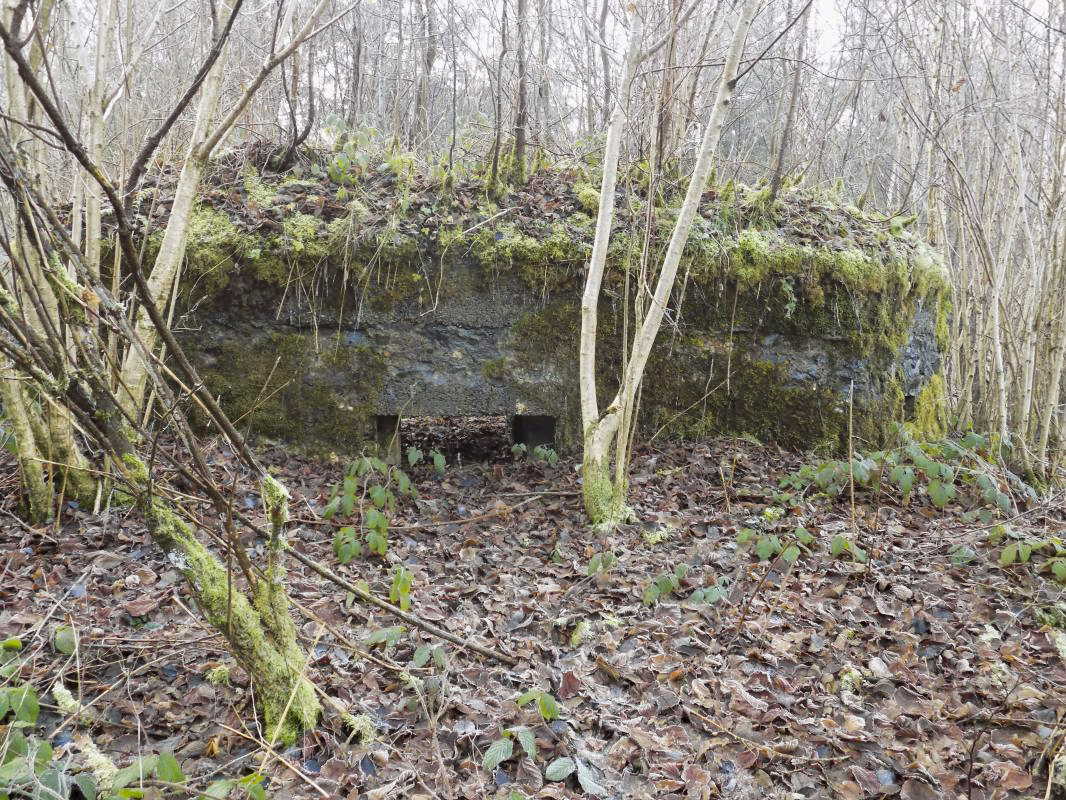 Ligne Maginot - BA109 - ROUTE DE REVIN 6 - (Blockhaus pour canon) - Face frontale créneau AC - R Tucker