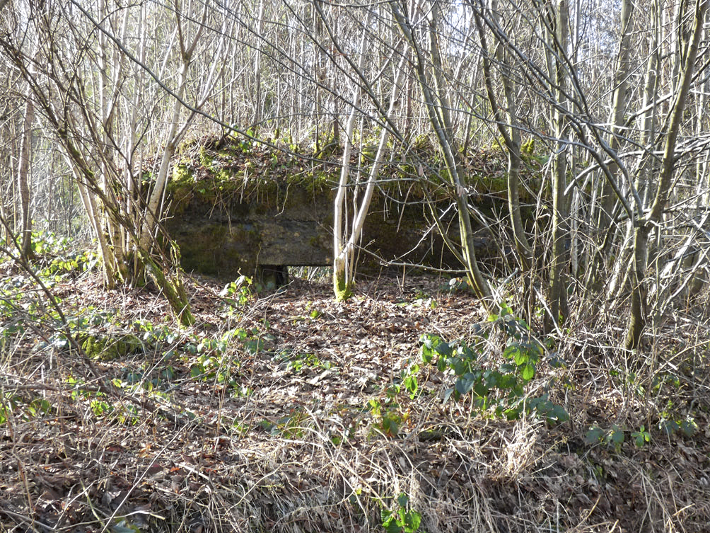 Ligne Maginot - BA109 - ROUTE DE REVIN 6 - (Blockhaus pour canon) -  - Jean-Marie Brams