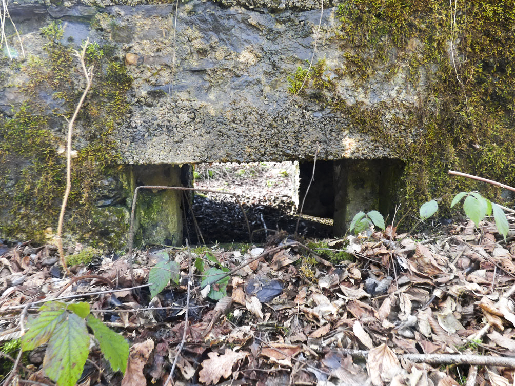 Ligne Maginot - BA109 - ROUTE DE REVIN 6 - (Blockhaus pour canon) -  - Jean-Marie Brams