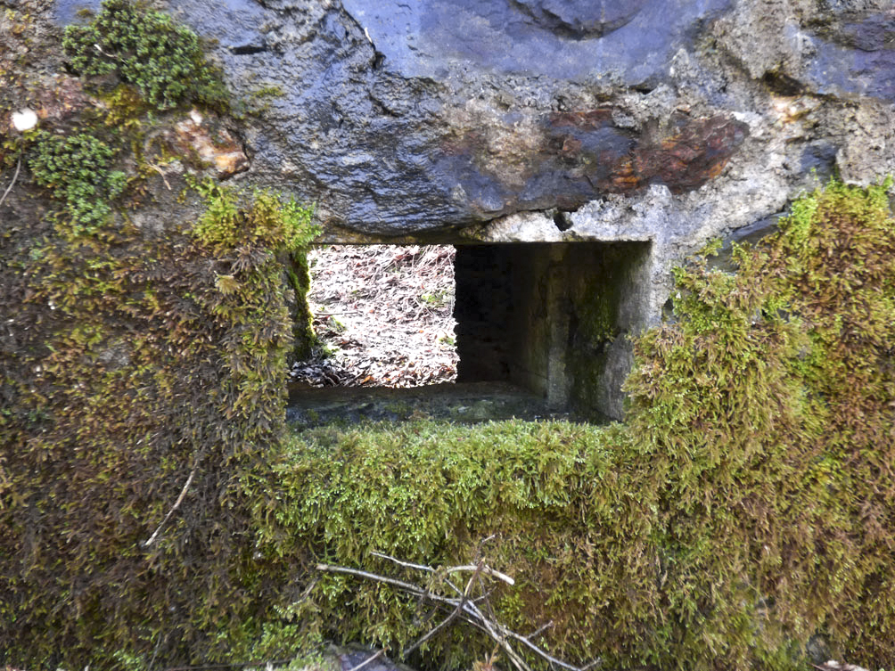 Ligne Maginot - BA109 - ROUTE DE REVIN 6 - (Blockhaus pour canon) -  - Jean-Marie Brams