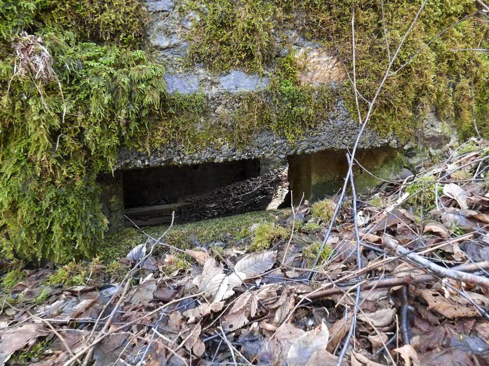 Ligne Maginot - BA109 - ROUTE DE REVIN 6 - (Blockhaus pour canon) -  - Jean-Marie Brams