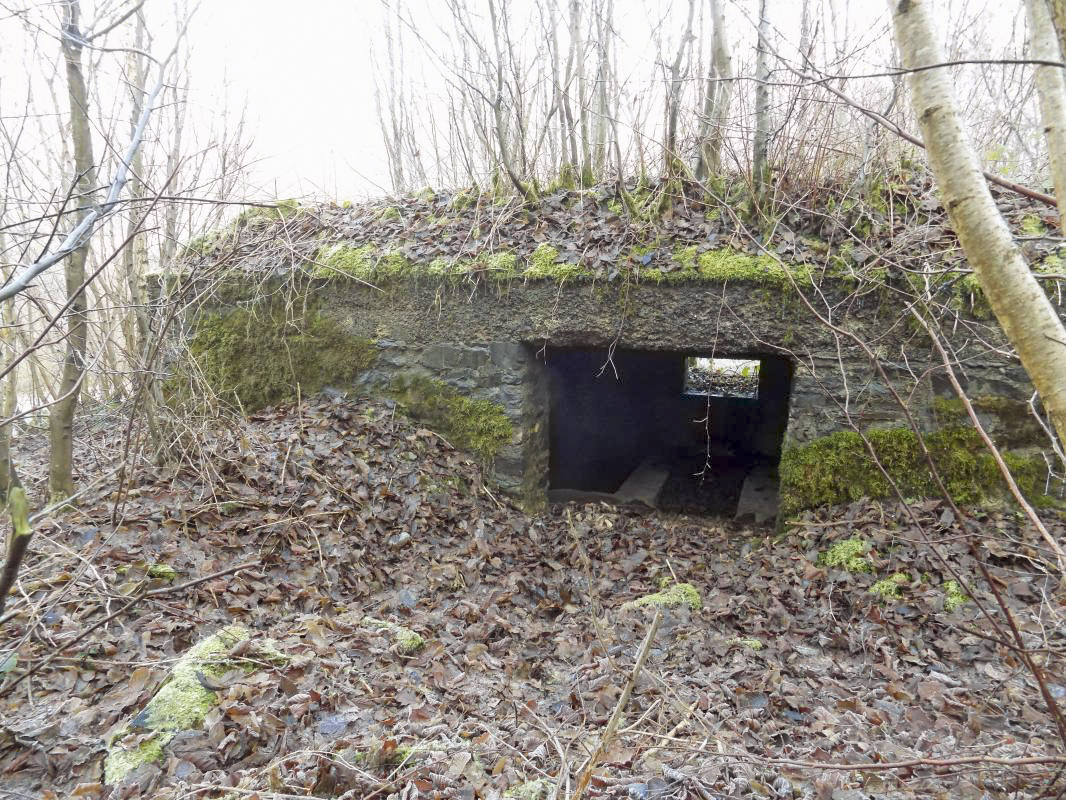 Ligne Maginot - BA109 - ROUTE DE REVIN 6 - (Blockhaus pour canon) - L'arrière, entrée AC - R Tucker