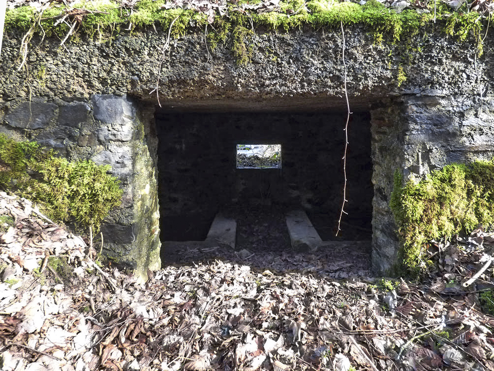 Ligne Maginot - BA109 - ROUTE DE REVIN 6 - (Blockhaus pour canon) -  - Jean-Marie Brams