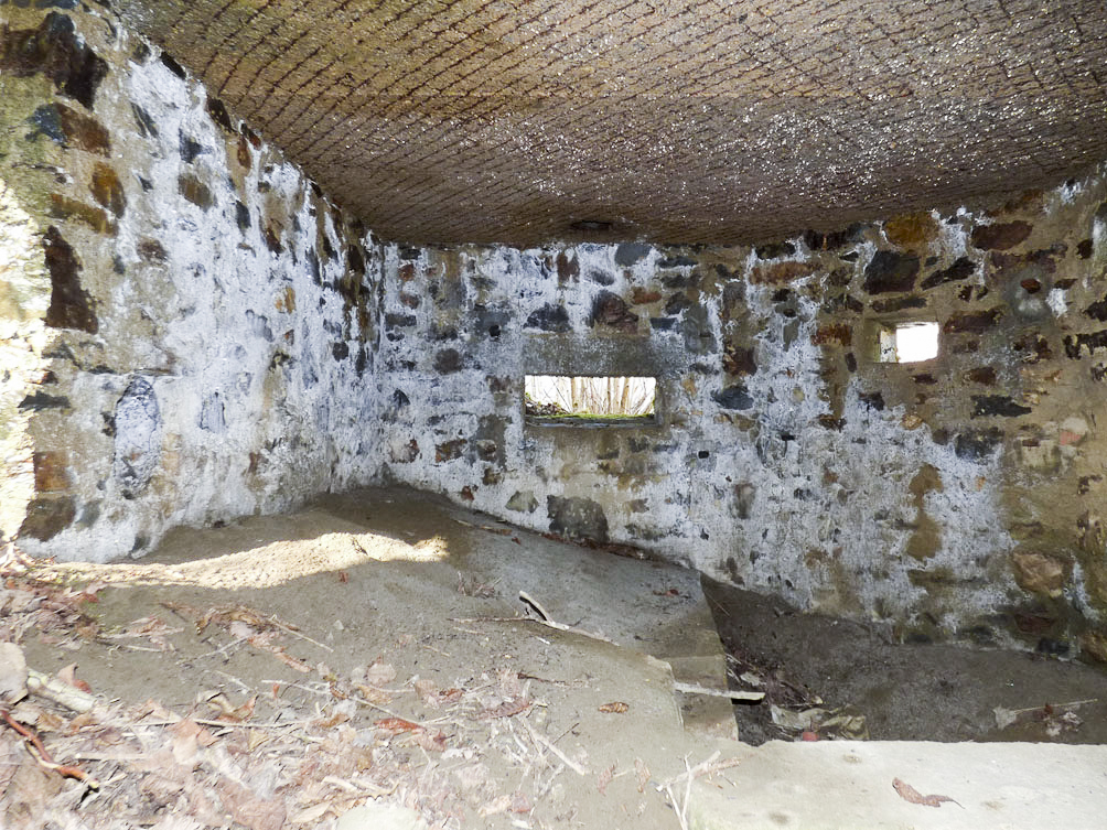 Ligne Maginot - BA109 - ROUTE DE REVIN 6 - (Blockhaus pour canon) -  - Jean-Marie Brams