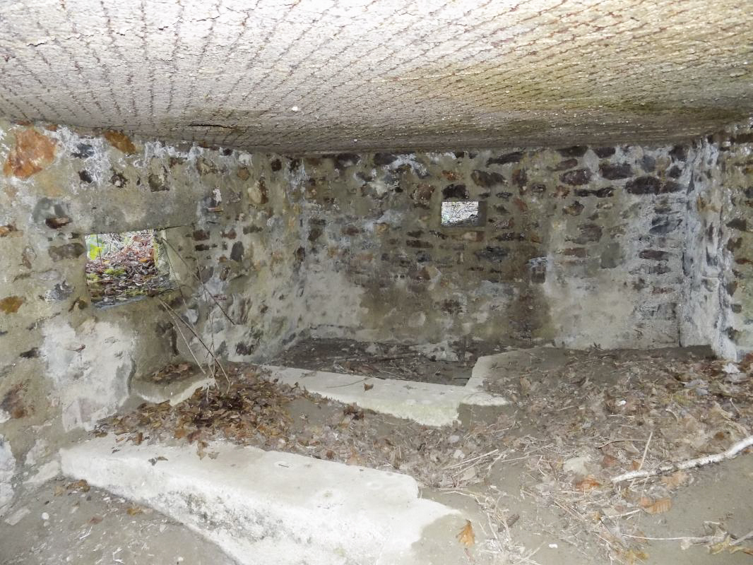 Ligne Maginot - BA109 - ROUTE DE REVIN 6 - (Blockhaus pour canon) - Créneaux AC et FM - R Tucker