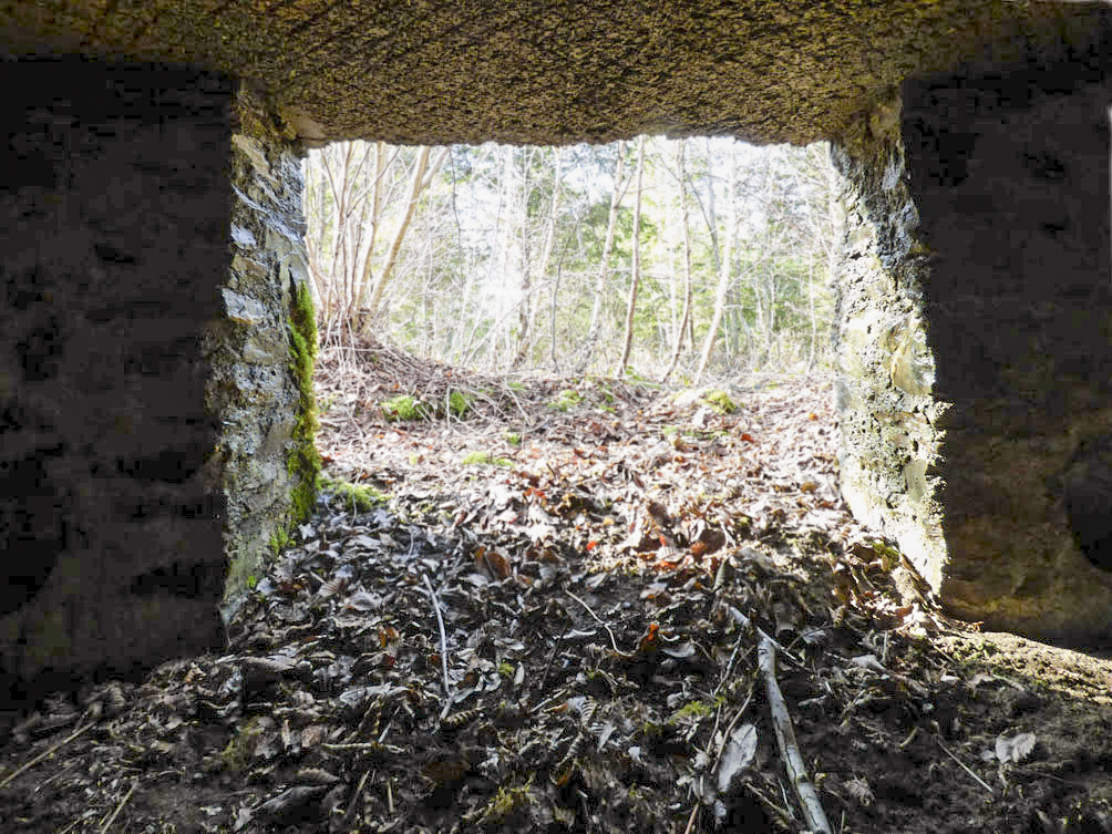 Ligne Maginot - BA109 - ROUTE DE REVIN 6 - (Blockhaus pour canon) -  - Jean-Marie Brams