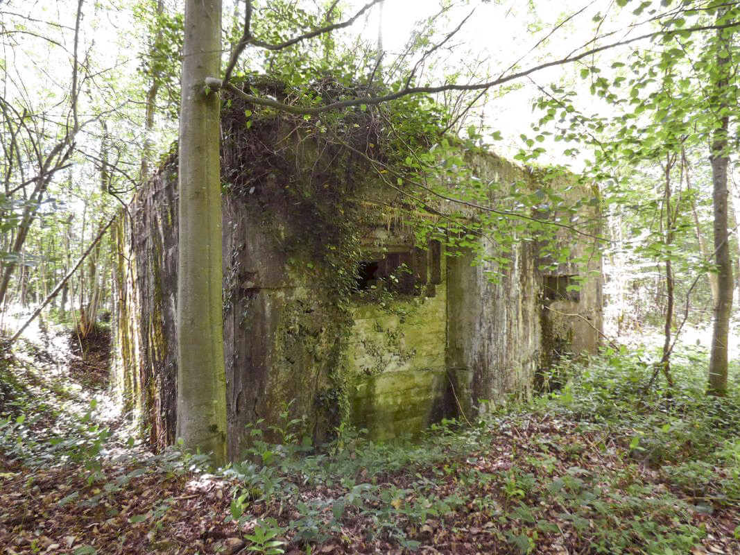 Ligne Maginot - ETANG DE PAS BAYARD - (Blockhaus pour canon) -  - JMBrams