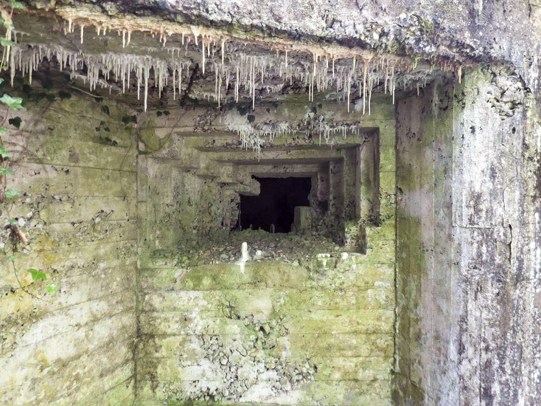 Ligne Maginot - ETANG DE PAS BAYARD - (Blockhaus pour canon) -  - JMBrams