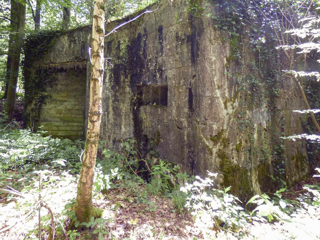 Ligne Maginot - ETANG DE PAS BAYARD - (Blockhaus pour canon) -  - JMBrams