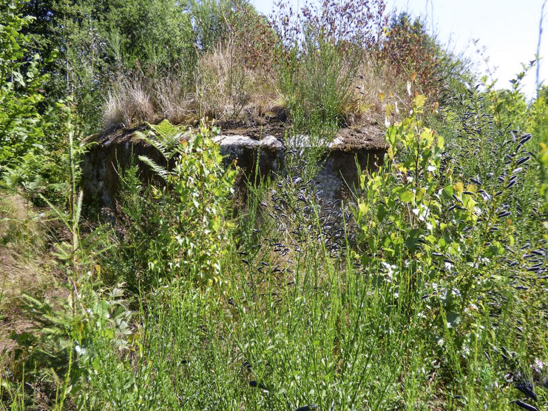 Ligne Maginot - CHAPELLE DES GLANDS - (Blockhaus pour arme infanterie) -  - JMBrams