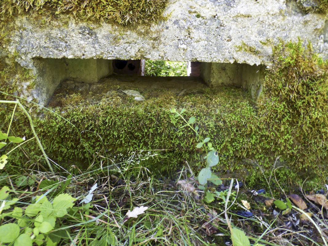 Ligne Maginot - CHAPELLE DES GLANDS - (Blockhaus pour arme infanterie) -  - JMBrams