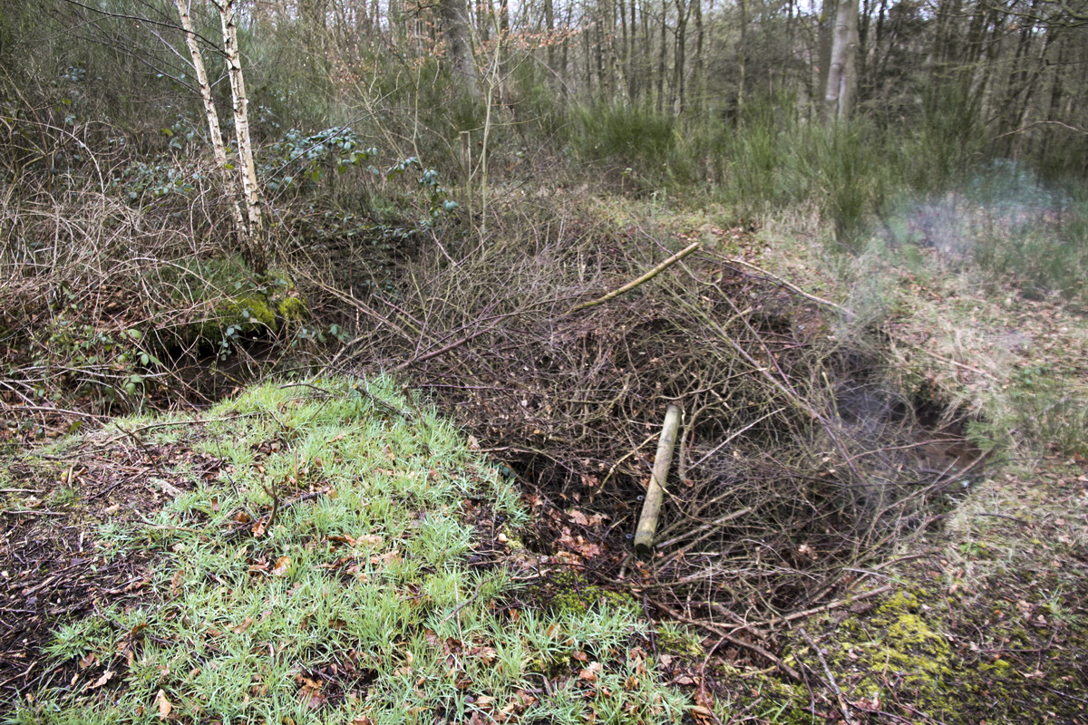 Ligne Maginot - NEUVE-FORGE OUEST - (Blockhaus pour canon) - Seule la fouille existe. - Alain Perouffe