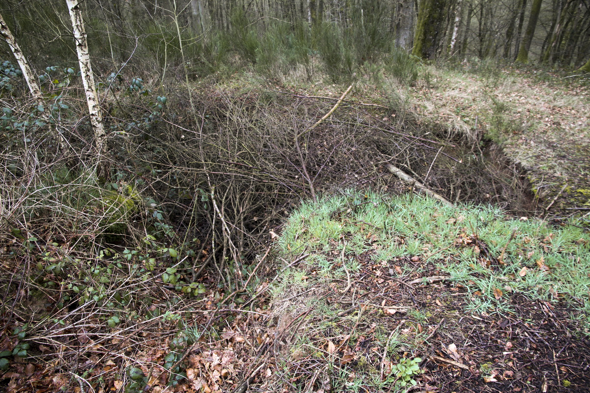 Ligne Maginot - NEUVE-FORGE OUEST - (Blockhaus pour canon) - Seule la fouille existe. - Alain Perouffe