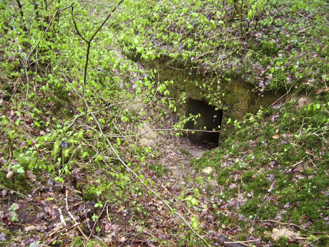 Ligne Maginot - RUE DES HORBES - (Abri) - Entrée - Alain FOCQUENOY
