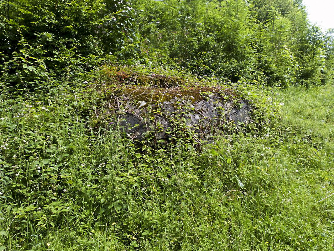 Ligne Maginot - RUE DE LA PASSE D'ANOR - (Chambre de coupure) -  - JMBrams