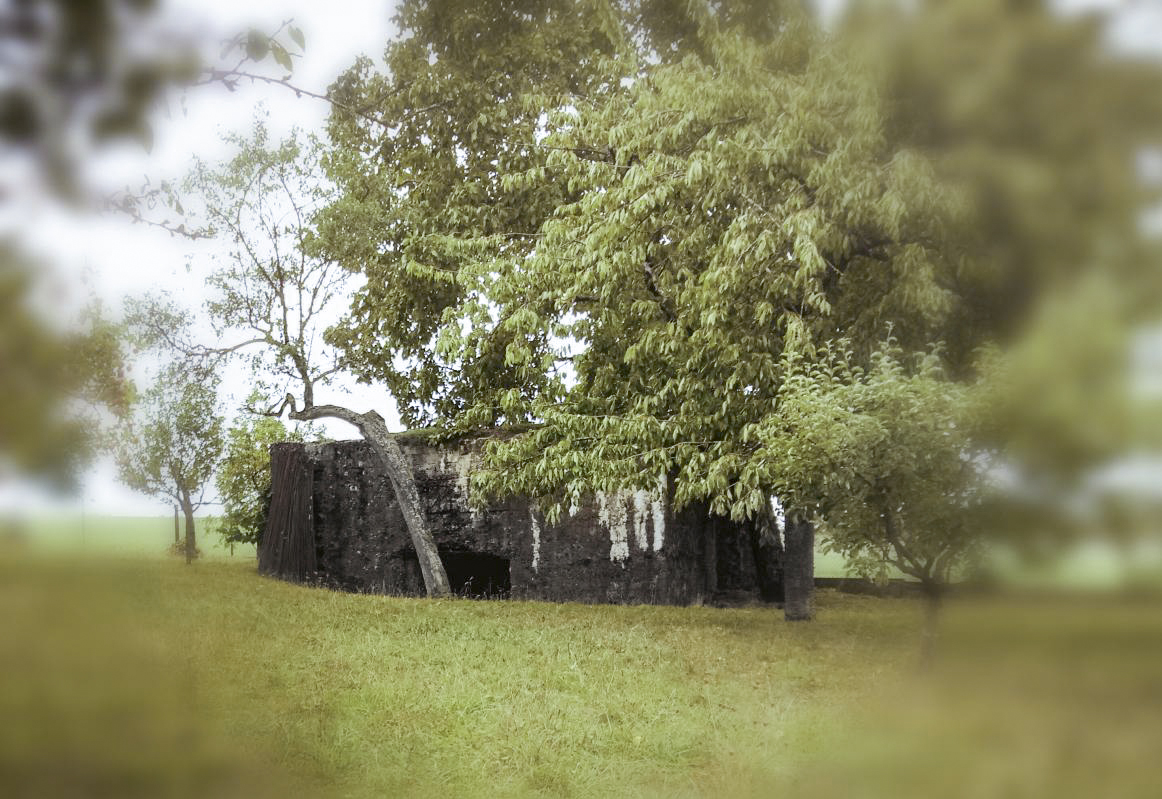 Ligne Maginot - BARST 1 - (Blockhaus pour canon) - Dans un terrain privé - jin jac
