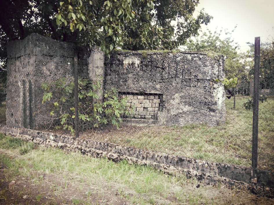 Ligne Maginot - BARST 1 - (Blockhaus pour canon) - Dans  un terrain privé - jin jac