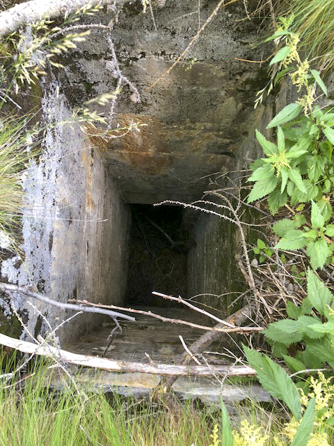 Ligne Maginot - CASSE BLANCHE - (Abri) - Issue de secours
Le débouché extérieur - MIGNEREY Léo