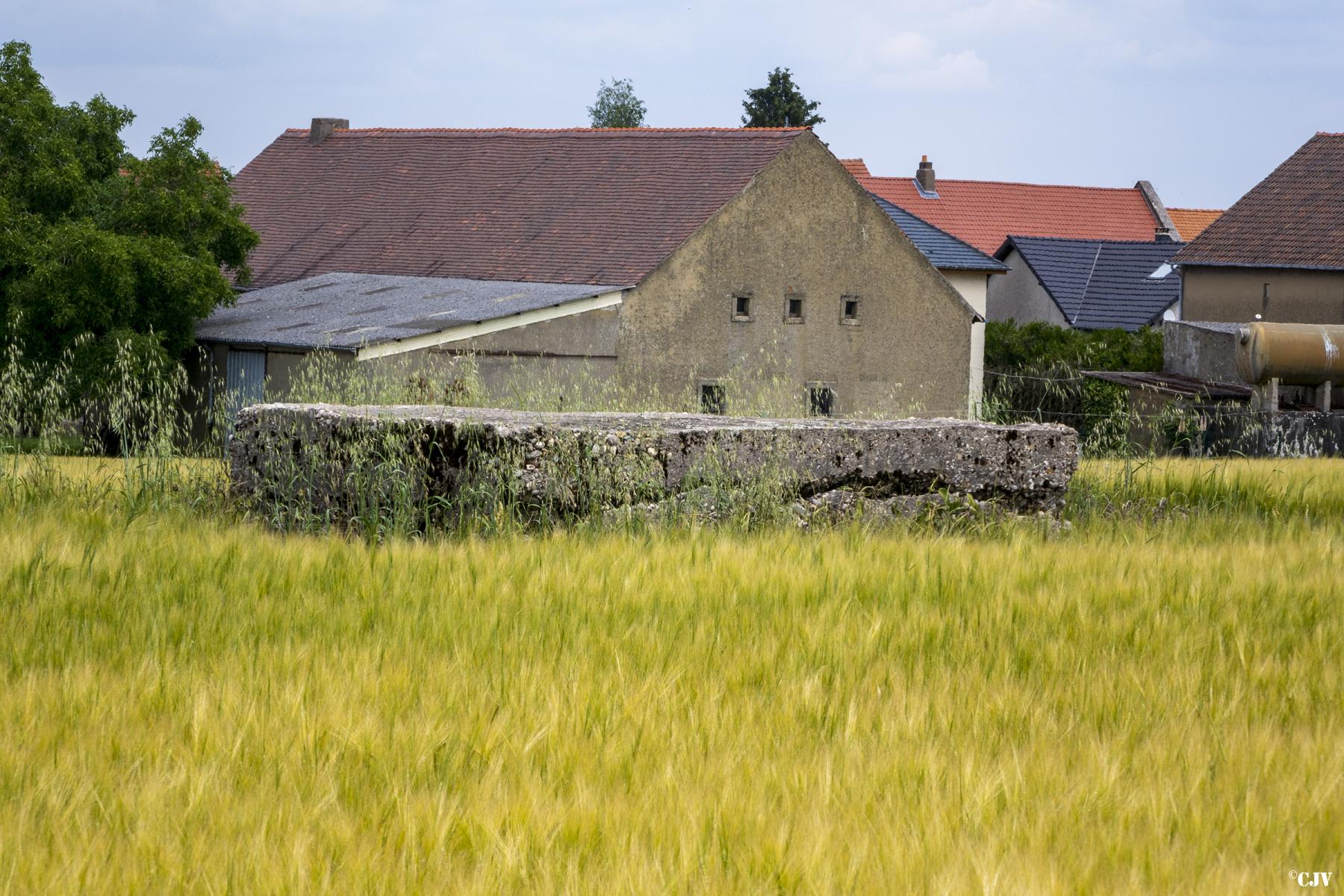 Ligne Maginot - BARST 4 - (Blockhaus pour arme infanterie) -  - Lia VERMEULEN