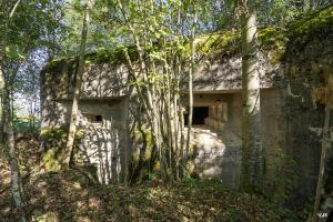 Ligne Maginot - C1 - LES ESSARTS - (Casemate d'infanterie - Double) - Les créneaux sud-est