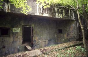Ligne Maginot - BOCKANGE - X31 (QUARTIER VALMUNSTER - I/162°RIF) - (Abri) - 